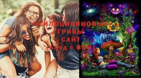 шишки Туринск